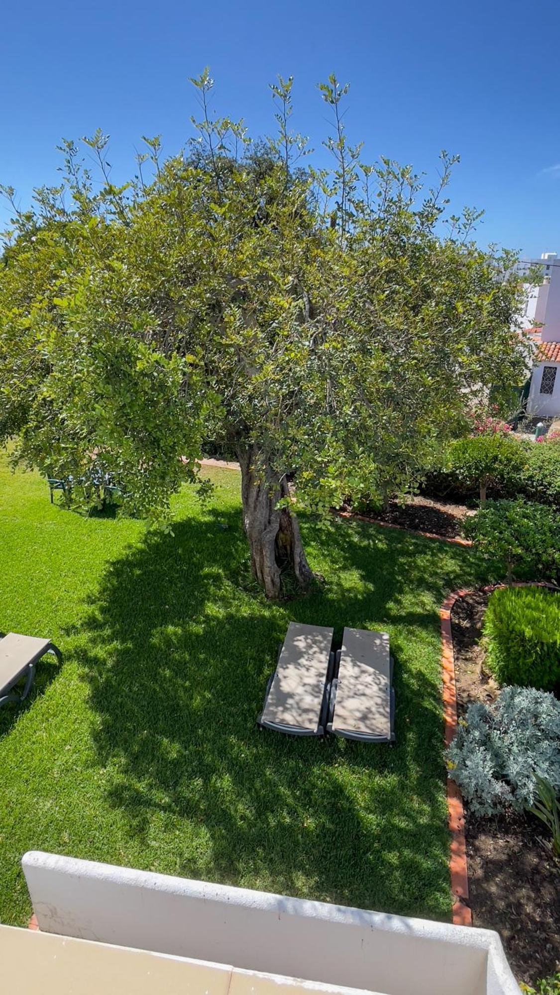 Verde Pino Vilamoura Bagian luar foto